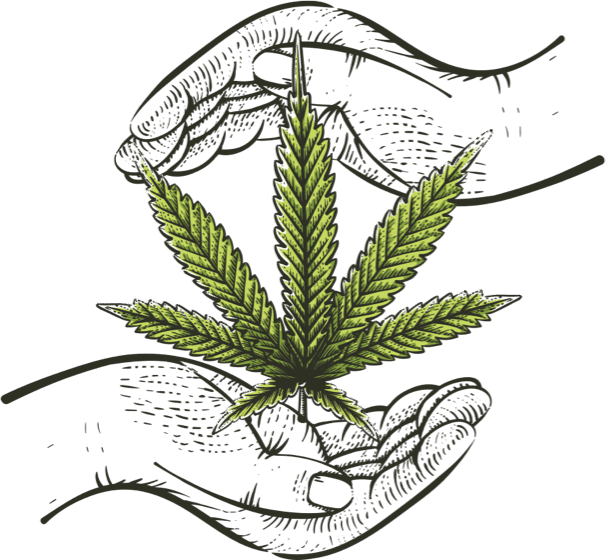 420 Accounting Services supporting cultivators, retailers, and cannabis investors