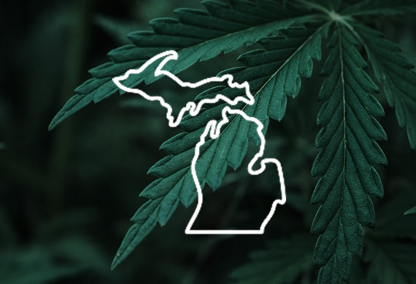 Comprehensive cannabis accounting services in Michigan for growing businesses