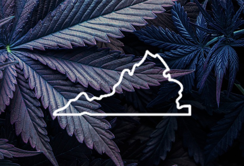 Cannabis accounting services in Virginia 