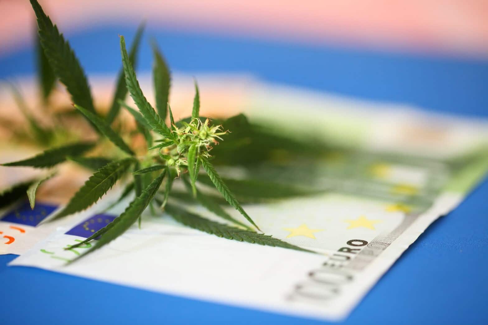 Navigating Cannabis Tax Deductions in California: Key Strategies and Tips